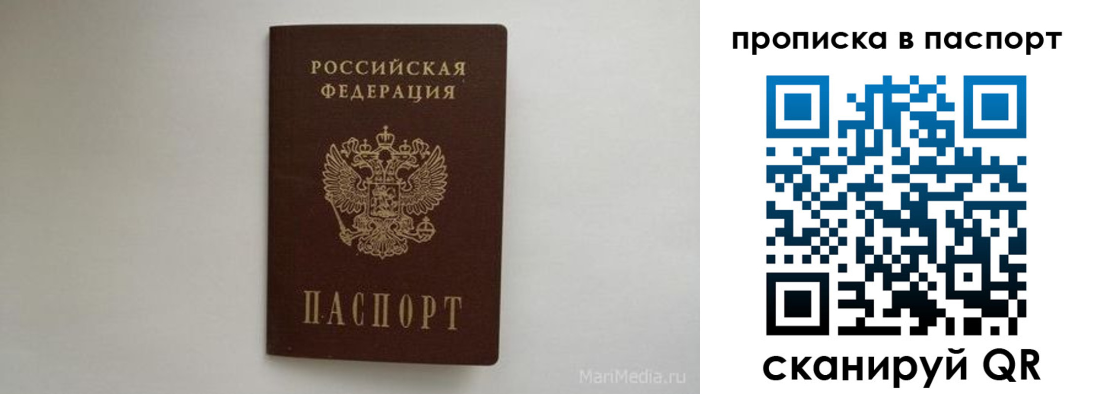 регистрация для школы в Сланцах